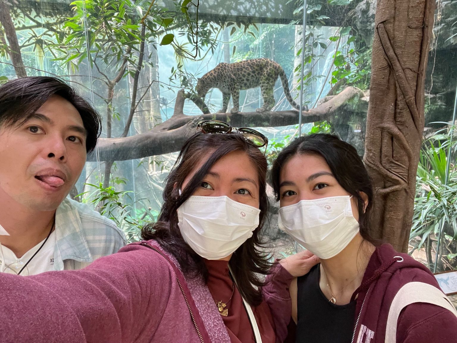 bronx zoo trip